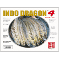 インドドラゴン４（洋書）「印尼神龍」 [indodragon-4]