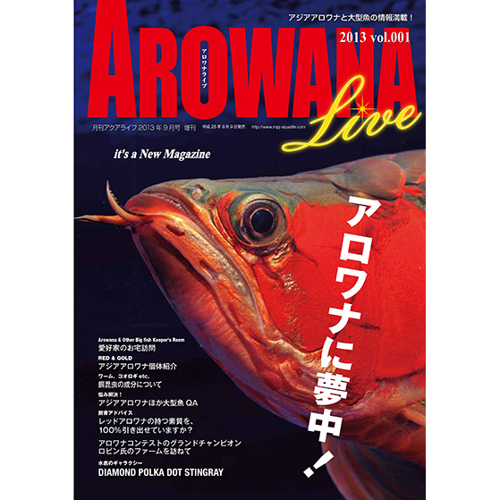 アロワナライブ vol.1〜9(vol.3欠)\u0026オマケ雑誌セット　arowana