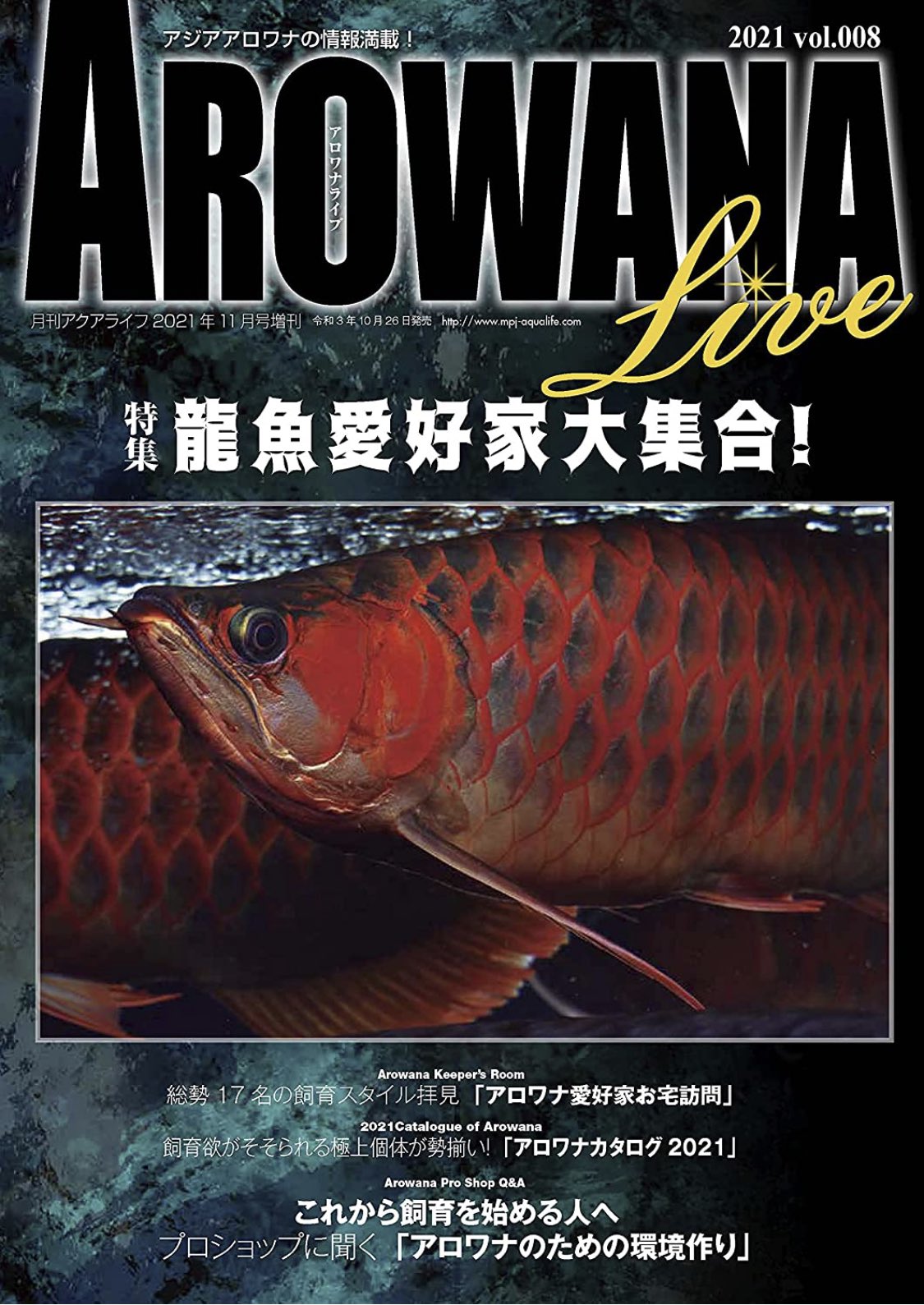 フィッシュマガジン fishmagazine 2001年7月 No424