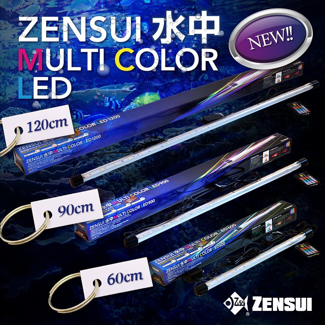 }`J[LED [ZENSUI-MULTI-COLOR-LED]