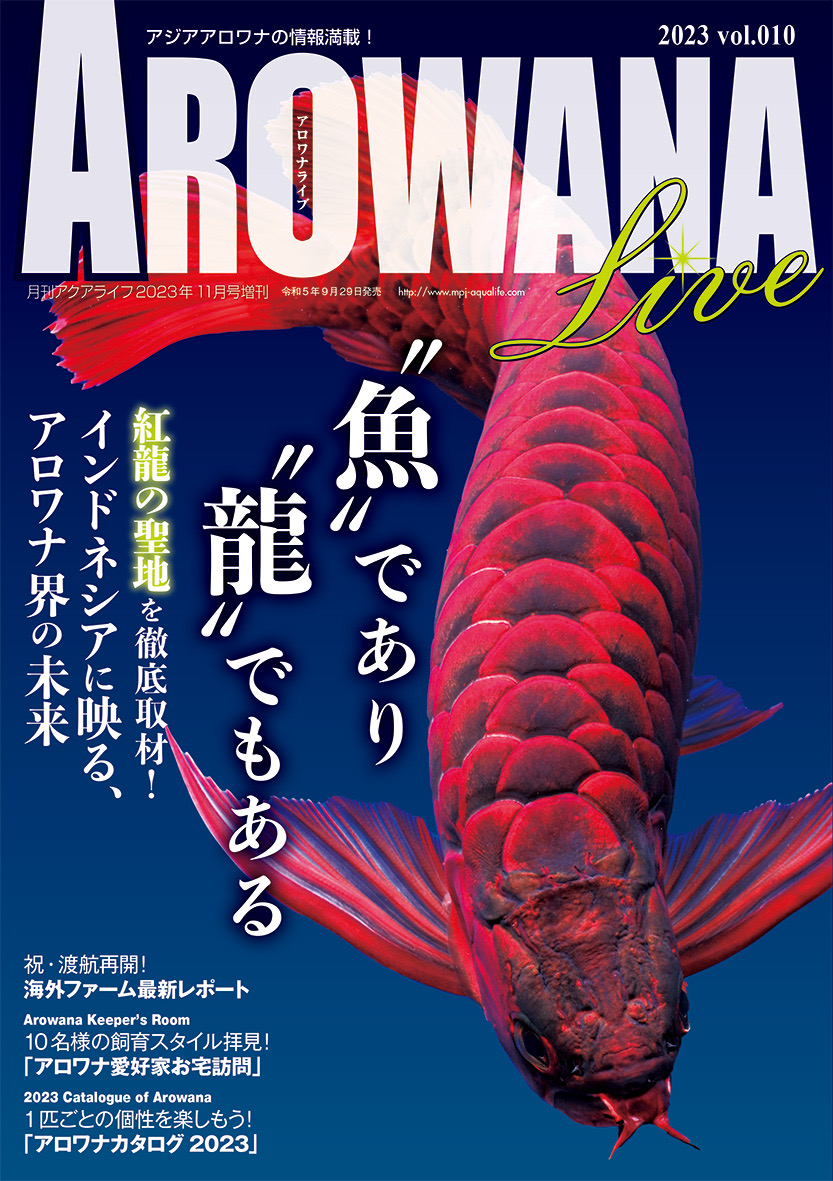 AiCu@VOL.10[arowanalive10]