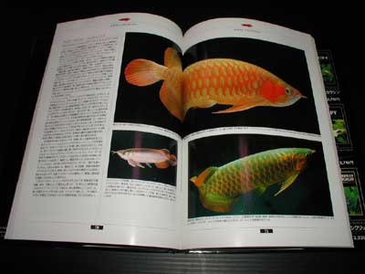 Tropical Fish Collection@uAiv[TFC-7]