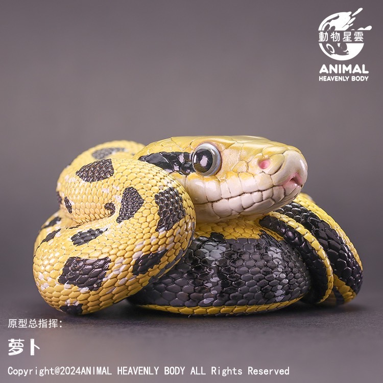 ^CXWI[AP-151]
