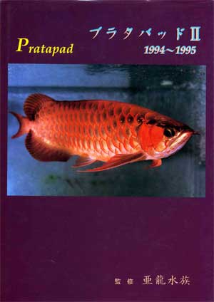v^pbhU@1994`1995[PT-S2]
